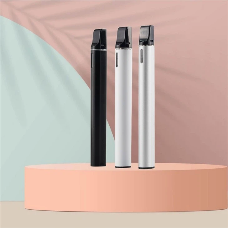 Portable Disposable Vape